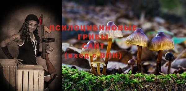 наркотики Горняк