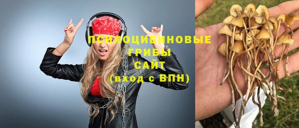 спайс Горно-Алтайск